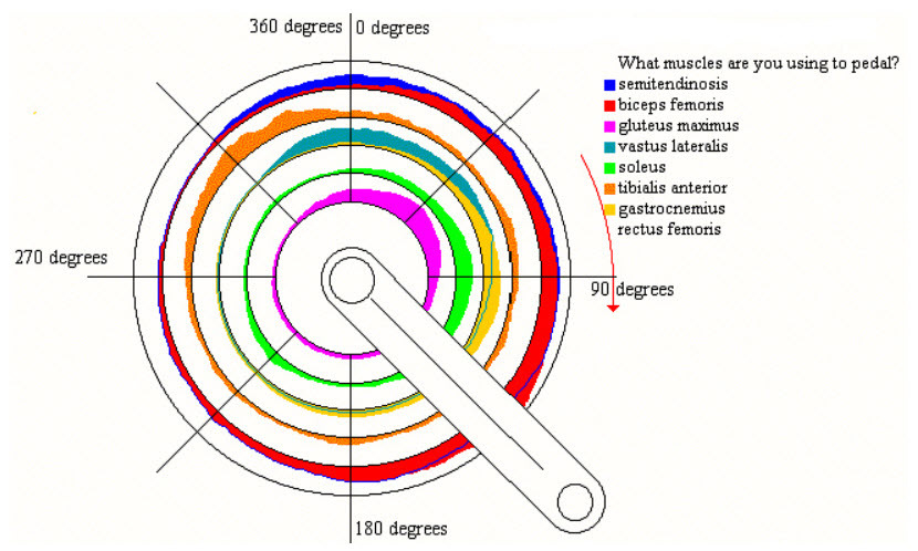 performance cycling Pedal Stroke Efficiency
